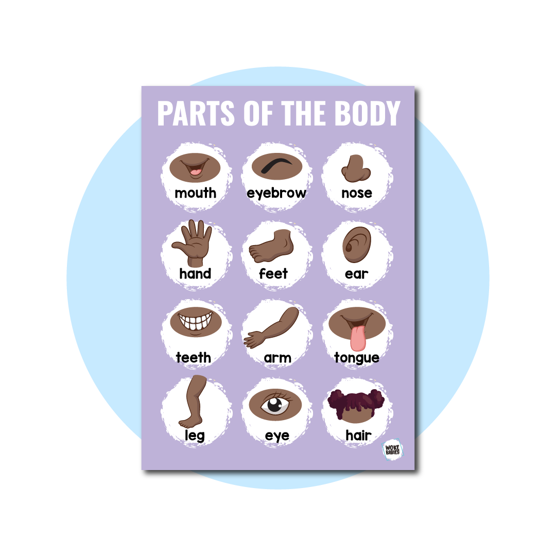 Parts Of The Body Poster