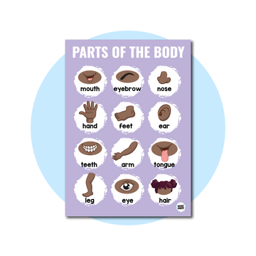 Parts Of The Body Poster